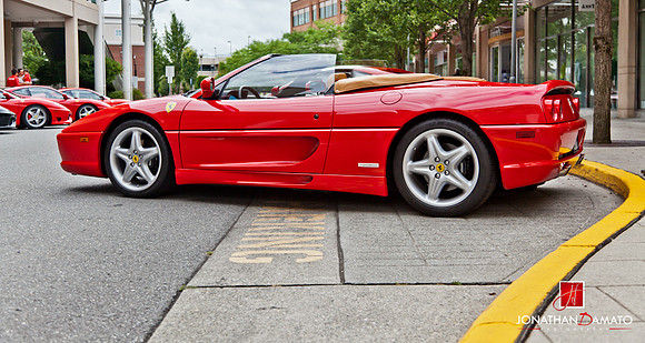 "EXOTICS AT REDMOND TOWN CENTER"  © 2012