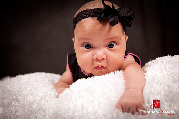D'Amato Photography