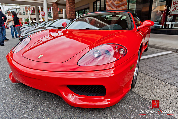 "EXOTICS AT REDMOND TOWN CENTER"  © 2012