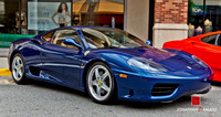 "EXOTICS AT REDMOND TOWN CENTER"  © 2012