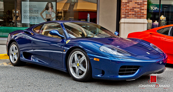"EXOTICS AT REDMOND TOWN CENTER"  © 2012