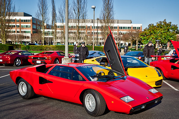 CATS EXOTICS LAMBORGHINI