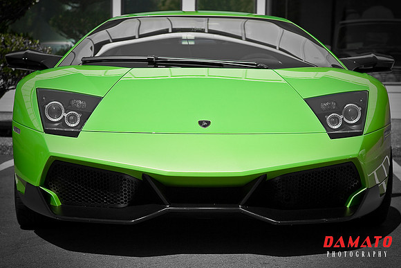 REDMOND TOWNE CENTER EXOTICS