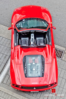 "EXOTICS AT REDMOND TOWN CENTER"  © 2012