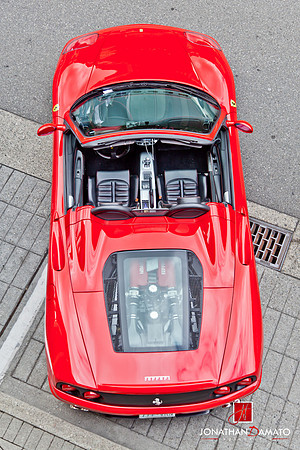 "EXOTICS AT REDMOND TOWN CENTER"  © 2012