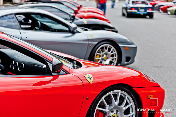 "EXOTICS AT REDMOND TOWN CENTER"  © 2012