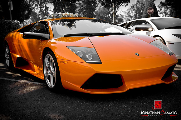 EXOTICS AT REDMOND TOWN CENTER