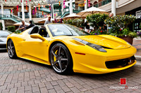 "EXOTICS AT REDMOND TOWN CENTER"  © 2012