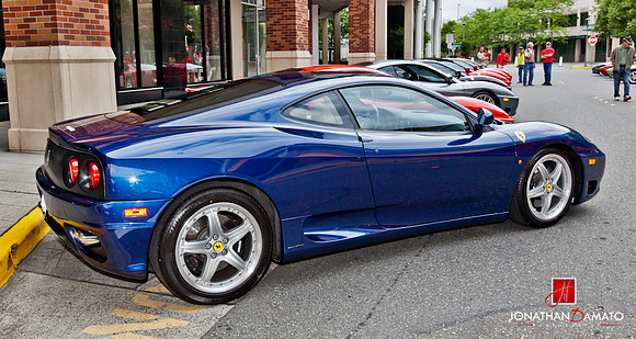 "EXOTICS AT REDMOND TOWN CENTER"  © 2012
