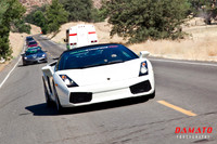 Italian Stampede 2010