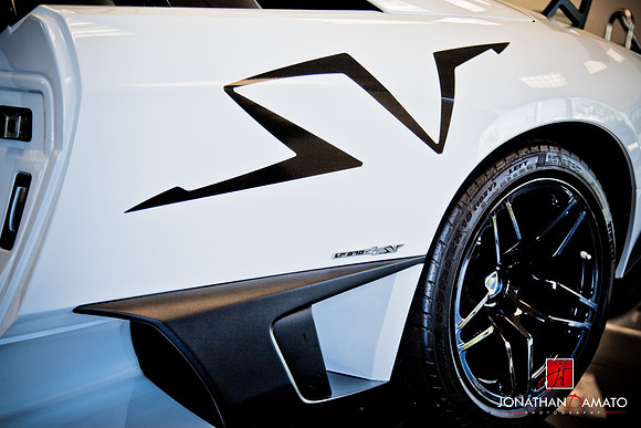 EXOTICS AT REDMOND TOWN CENTER