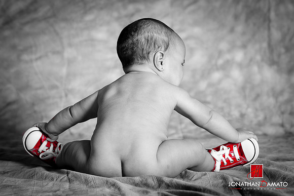 D'Amato Photography