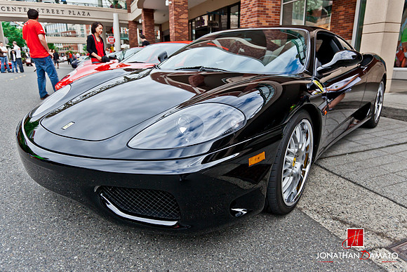 "EXOTICS AT REDMOND TOWN CENTER"  © 2012