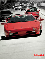 Italian Stampede 2010