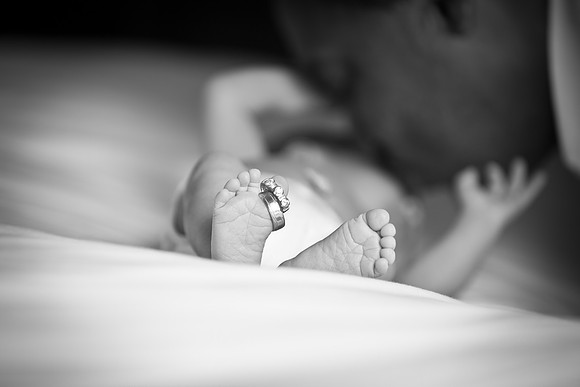 D'Amato Photography