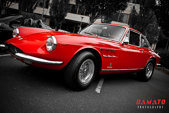 REDMOND TOWNE CENTER EXOTICS