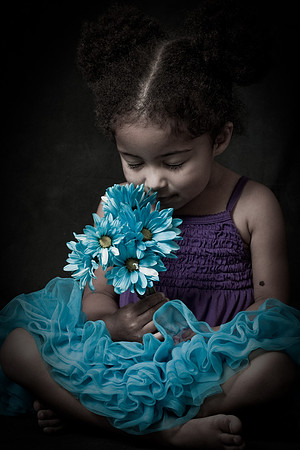 D'Amato Photography