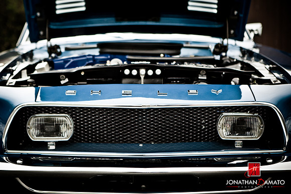 JONATHAN D'AMATO PHOTOGRAPHY