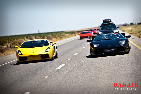 Italian Stampede 2010