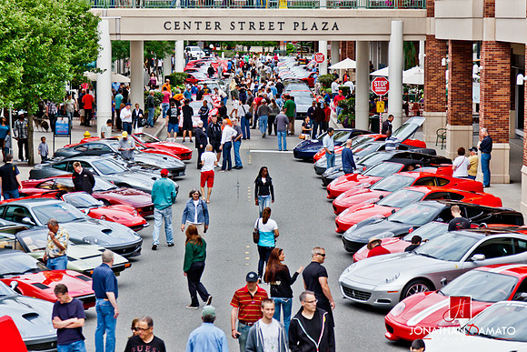 "EXOTICS AT REDMOND TOWN CENTER"  © 2012