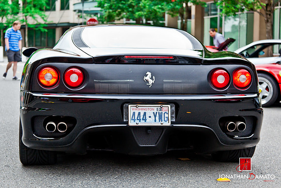 "EXOTICS AT REDMOND TOWN CENTER"  © 2012