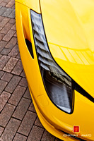 "EXOTICS AT REDMOND TOWN CENTER"  © 2012