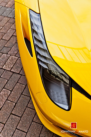 "EXOTICS AT REDMOND TOWN CENTER"  © 2012