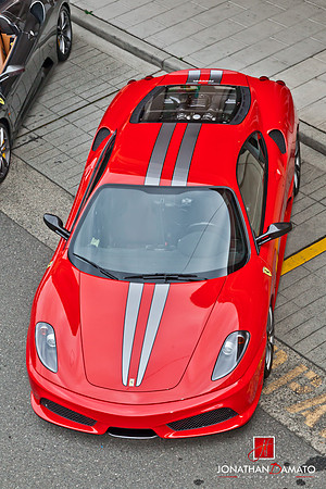 "EXOTICS AT REDMOND TOWN CENTER"  © 2012