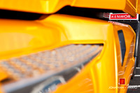 KENWORTH T680 & EXOTICS
