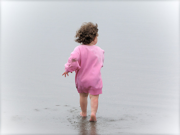 D'Amato Photography